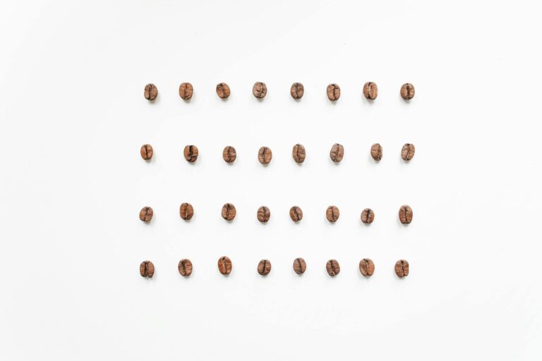 A neat arrangement of coffee beans on a white background, displaying texture and pattern in a minimalist style.